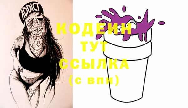 спиды Каменка