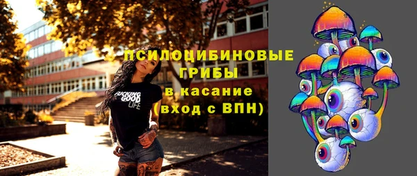 спиды Каменка