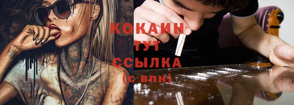 трава Каменногорск