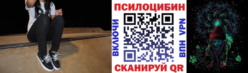 Купить закладки  Лыткарино  Псилоцибиновые грибы Magic Shrooms 